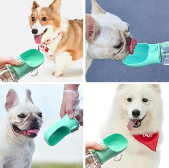 Four images of the dog leak proof portable Water bottle being used by different dogs - New Forest Pets.