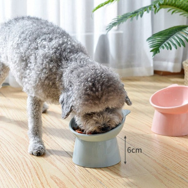 Imagine of a dog eating out of the cat/dog Water or feeding bowls - New Forest Pets.