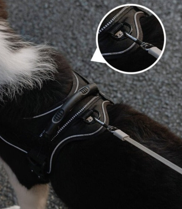 Highlighted image of the point of attachment for dog harness for the 3M dog lead with built in flash light/waste bag holder.