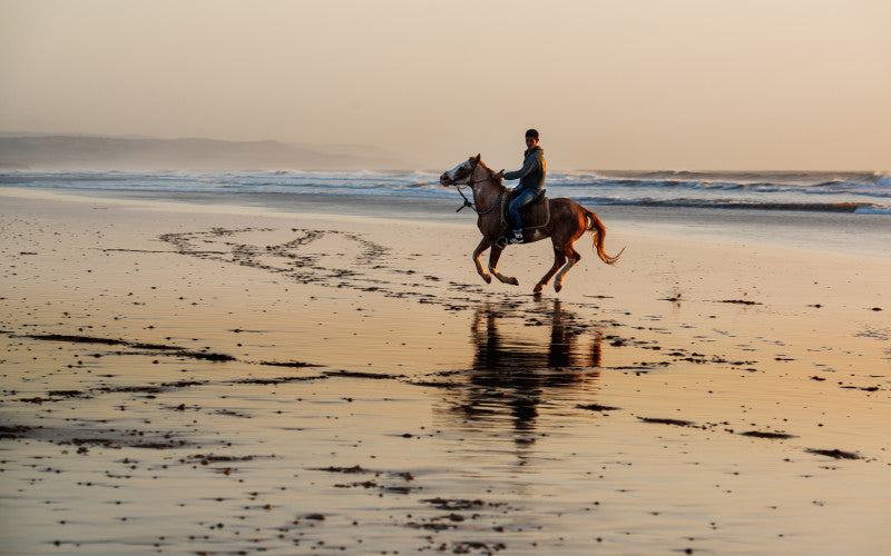 Horse rider riding a horse along a beach front in the sunset.