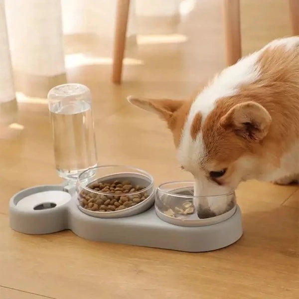 Dog eating out of grey 3-in-1 pet food and water bowl - New Forest Pets.