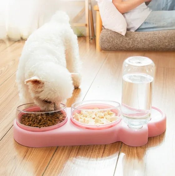 Dog eating out of pink 3-in-1 pet food and water bowl - New Forest Pets.
