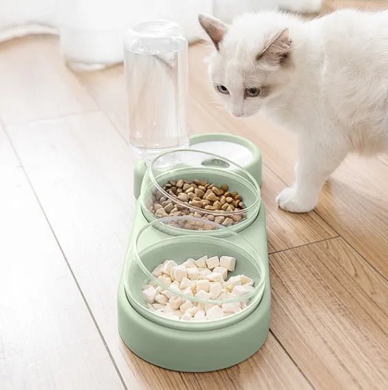 Cat eating out of green 3-in-1 pet food and water bowl - New Forest Pets.