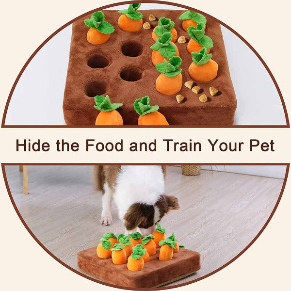 Image of the dog 12 carrot snuffle mat puzzle explaining how to hide food and train your pet - New Forest Pets.