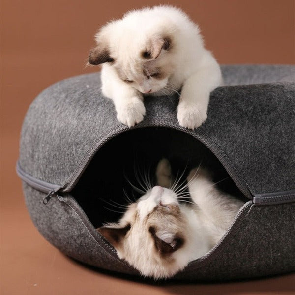 Donut cat tunnels with two kittens playing inside and on top  - New Forest Pets.