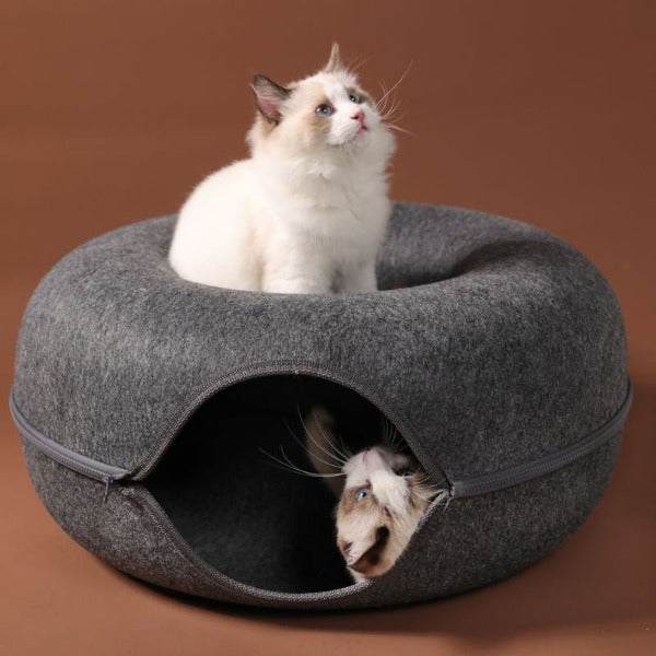 Image of two cats one sat on top looking into the sky and the other sleeping in the donut cat tunnel - New Forest Pets.