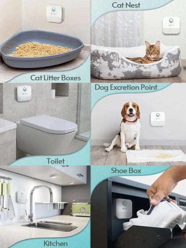 Use the DownyPaws Smart Cat Air Deodoriser for Litter Boxes (Rechargeable) in cat litter boxes and dog excretion point.