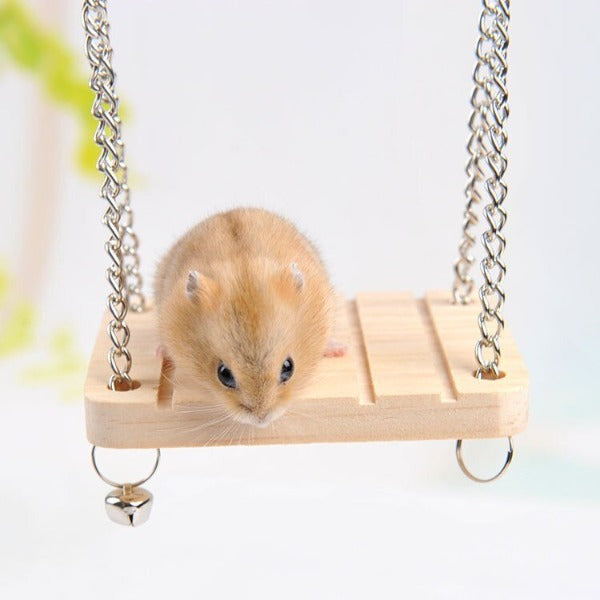 Image of hamster sat on the hamster or bird swing platform - New Forest Pets.