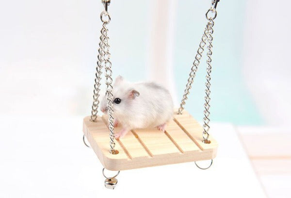 Image of the hamster or bird swing platform supporting a hamster - New Forest Pets.