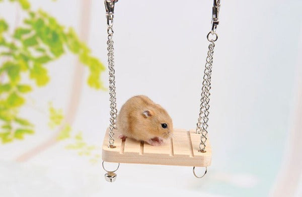 Side Image of a hamster sat on the hamster or bird swing platform - New Forest Pets.